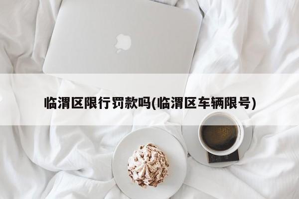 临渭区限行罚款吗(临渭区车辆限号)