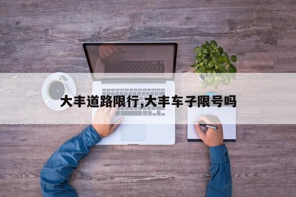 大丰道路限行,大丰车子限号吗