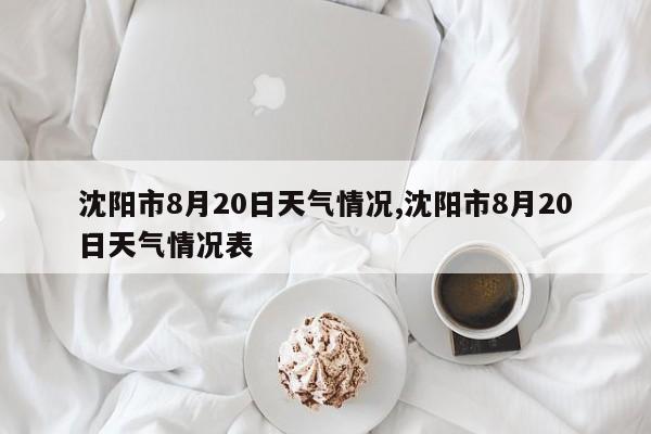 沈阳市8月20日天气情况,沈阳市8月20日天气情况表