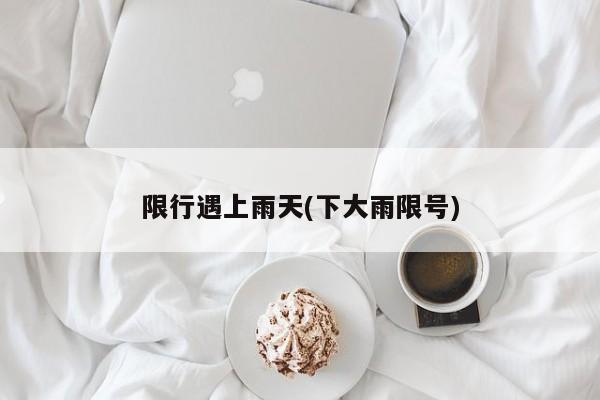 限行遇上雨天(下大雨限号) 第1张