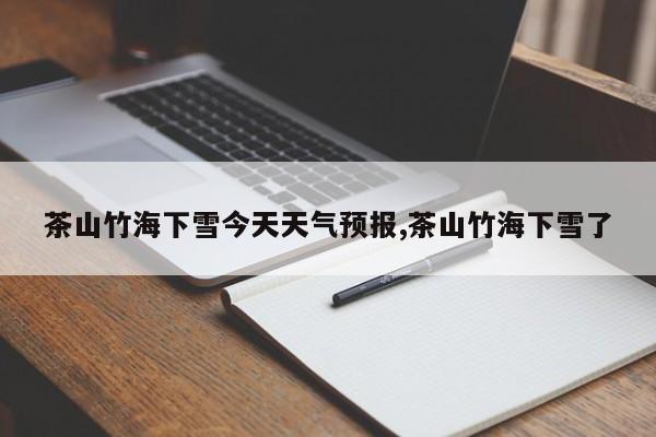 茶山竹海下雪今天天气预报,茶山竹海下雪了