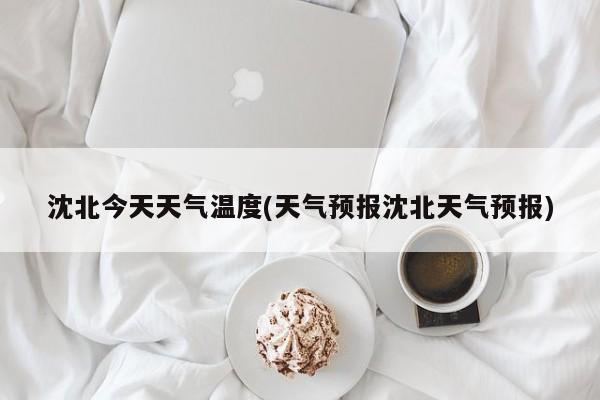 沈北今天天气温度(天气预报沈北天气预报)