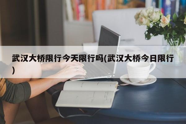 武汉大桥限行今天限行吗(武汉大桥今日限行) 第1张