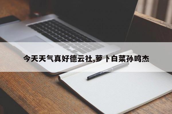 今天天气真好德云社,萝卜白菜孙鸣杰